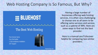 Web Hosting Company Is So Famous, But Why?