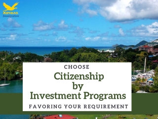 Choose Citizenship by Investment Programs Favoring Your Requirement