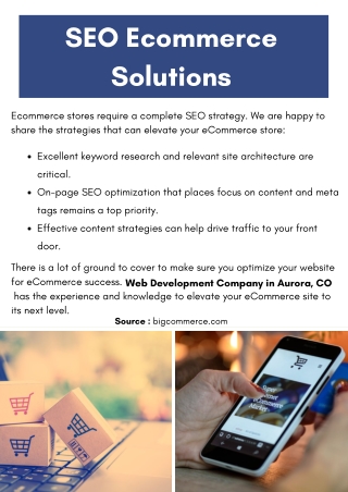 SEO Ecommerce Solutions