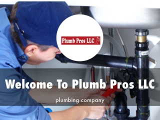 Information Presentation Of Plumb Pros LLC