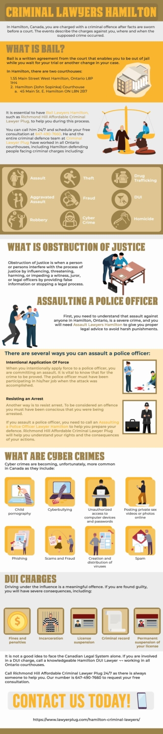 Richmond Hill Affordable Criminal Lawyer Plug Are Hamilton Area Criminal Lawyers