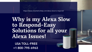 Quick Fix Alexa Slow to Respond | Anytime Alexa Helpline -Get Help Now