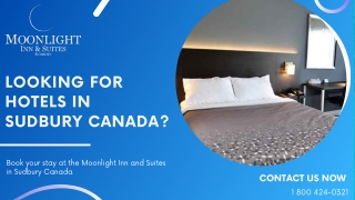 How To Contact Moonlight Inn And Suites Sudbury?