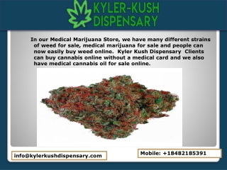 Kyler Kush Dispensary | Contact Us | Weed Store Buy Marijuana Online