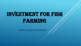 Investment for fish farming