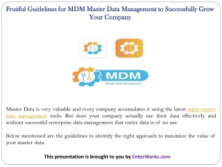 Fruitful Guidelines for MDM Master Data Management to Successfully Grow Your Company