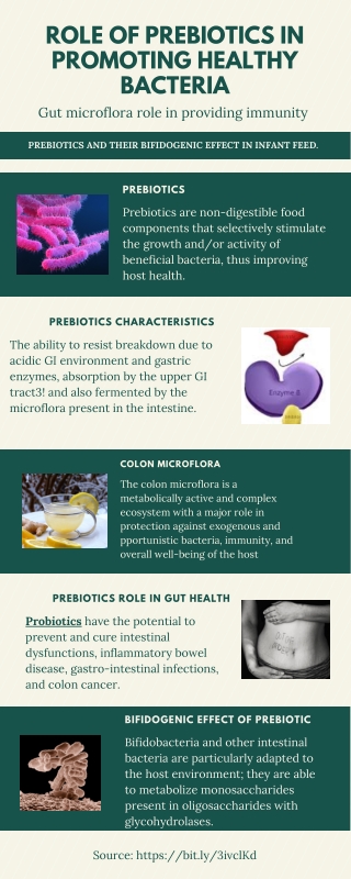 Role Of Prebiotics In Promoting Healthy Bacteria