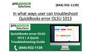 In what ways user can troubleshoot QuickBooks error OLSU 1013