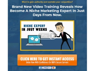 INSTA NICHE PROFITS