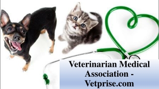 Veterinarian Medical Association - Vetprise.com
