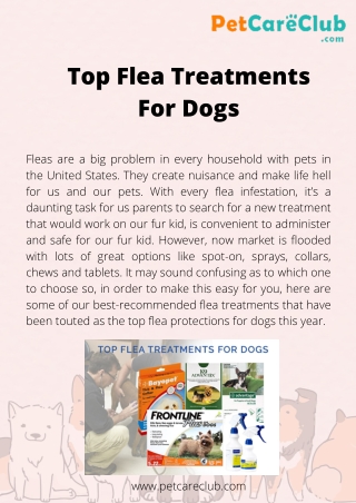 Top Flea Treatments For Dogs