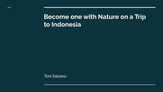 Become one with Nature on a Trip to Indonesia: Tom Salzano
