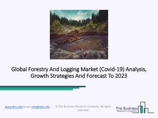 Forestry And Logging Market Sales And Revenue Forecast To 2023