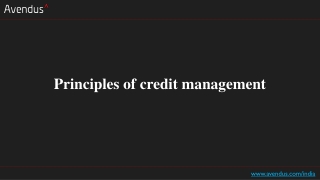 Principles of credit management