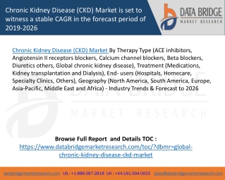 Chronic Kidney Disease (CKD) Market is set to witness a stable CAGR in the forecast period of 2019-2026