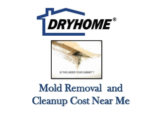 Mold removal cost and Mold cleanup near me