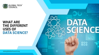 What Are The Different Uses Of Data Science?