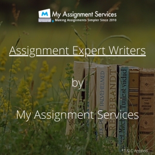 Assignment Expert Writers by My Assignment Services