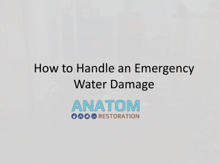 How to Handle a Water Damage Emergency | Anatom Restoration