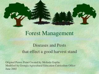 Forest Management