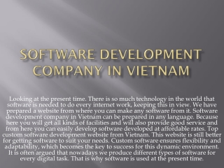 software development company in vietnam