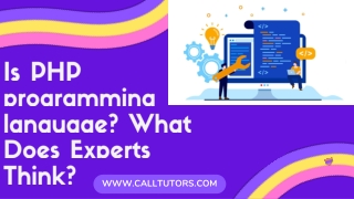 Is PHP programming language? What Does Experts Think?