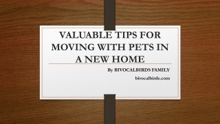 Valuable tips for moving with pets in a new home