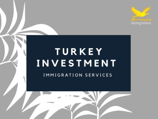 Turkey Investment Immigration Services