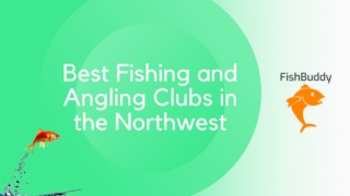 Check Out the Best Fishing and Angling Clubs at Fishbuddy Directory