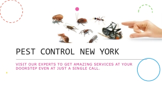 Fox Pest Control Albany NY