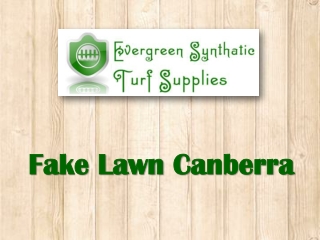 Fake Lawn Canberra