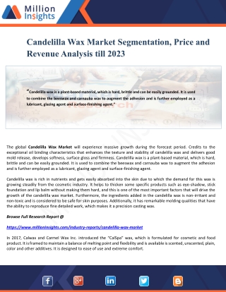 Candelilla Wax Market Segmentation, Price and Revenue Analysis till 2023