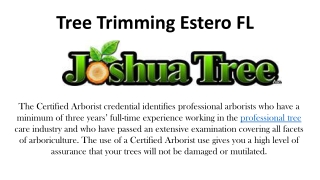 Tree Trimming Estero FL