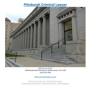 Pittsburgh Criminal Lawyer