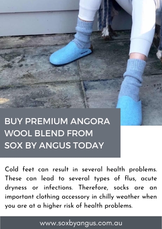Buy Premium Angora Wool Blend From Sox By Angus Today