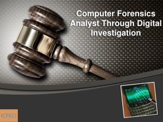 Computer Forensics Analyst Through Digital Investigation