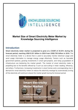 Market Size of Smart Electricity Meter Market by Knowledge Sourcing