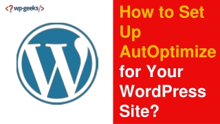 How to Set Up AutOptimize for Your WordPress Site?