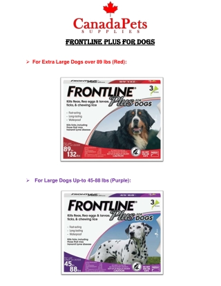 Frontline Plus For DOgs- CanadaPetsSupplies.com