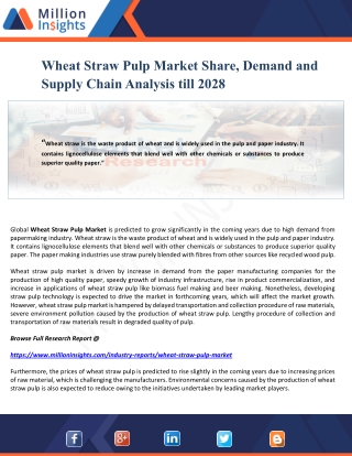 Wheat Straw Pulp Market Share, Demand and Supply Chain Analysis till 2028