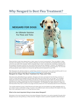 Why Nexgard Is Best Flea Treatment - BestVetCare