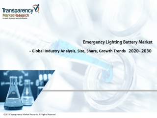 Emergency Lighting Battery Market Segments, Leading Player, Application & Forecast Analysis
