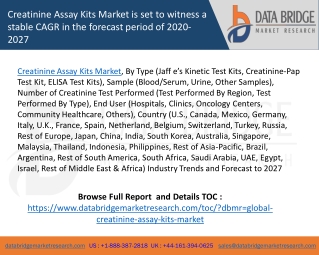 Creatinine Assay Kits Market is set to witness a stable CAGR in the forecast period of 2020-2027