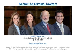 Miami Top Criminal Lawyers