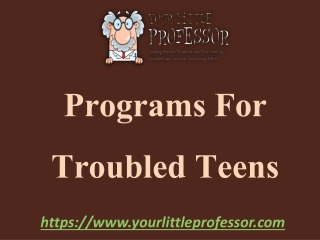 Expert Programs For Troubled Teens By www.yourlittleprofessor.com