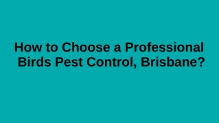 How to choose a professional birds pest control, Brisbane?