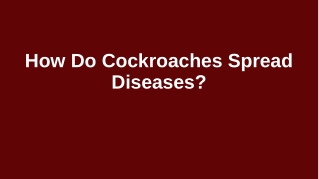 How do cockroaches spread diseases?