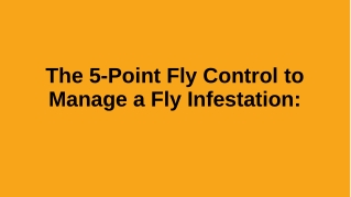 The 5-point fly control to manage a fly infestation: