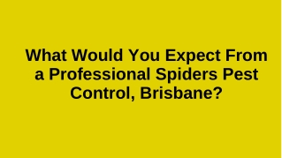 What would you expect from a professional spiders pest control, Brisbane?