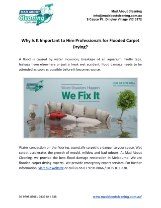 Why Is It Important to Hire Professionals for Flooded Carpet Drying?